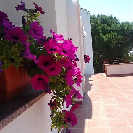 Masseria Nova Bed & Breakfast *